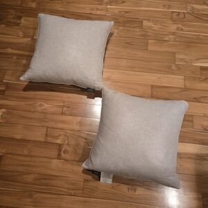 Set of Two Silver Throw Pillows